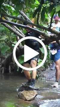 BIB:  <button type="button" onclick="openModal(27824502)" class="btn btn-primary btn-sm float-right" data-toggle="modal" data-target=".modal-high-quality">
                <i class="fa fa-download"></i> Download
                </button>